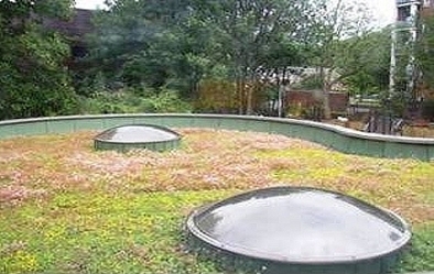 Toplite Classic Circular Domes